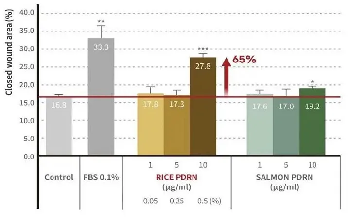 Bar chart illustrating closed wound area percentages for different treatments including control, FBS 0.1%, Rice PDRN, and Salmon PDRN at varying concentrations.